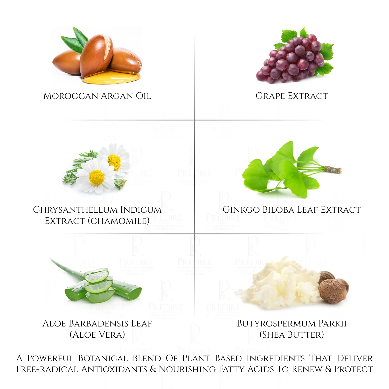 Daily Hydrating Moisturizer (Vitamin E & A Boosting) - Image 9