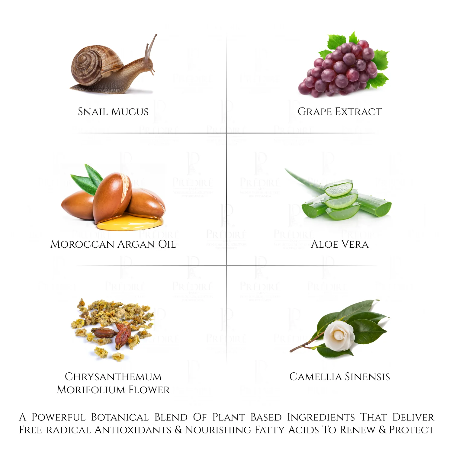 Snail Skin Concentrate Finishing Layer Mask - Image 4